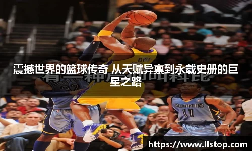 哈哈体育官方网站